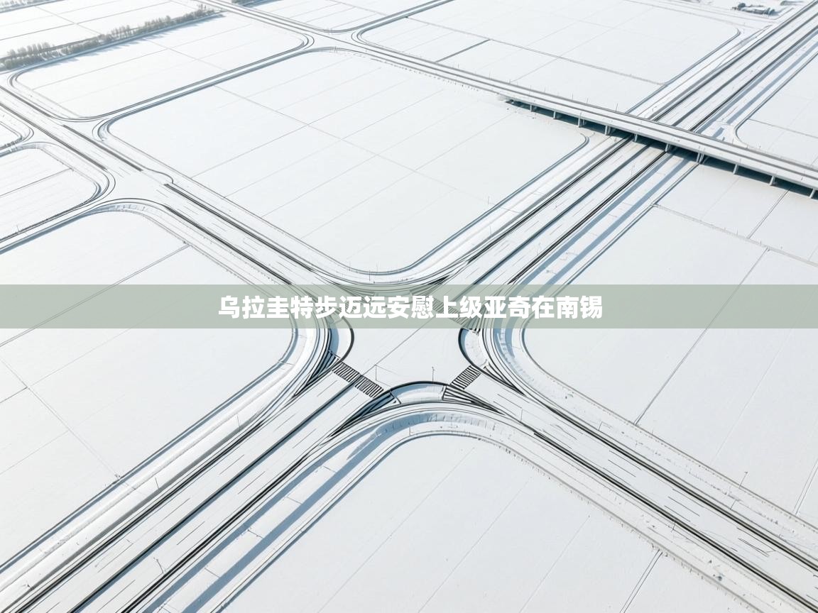 乌拉圭特步迈远安慰上级亚奇在南锡  第2张