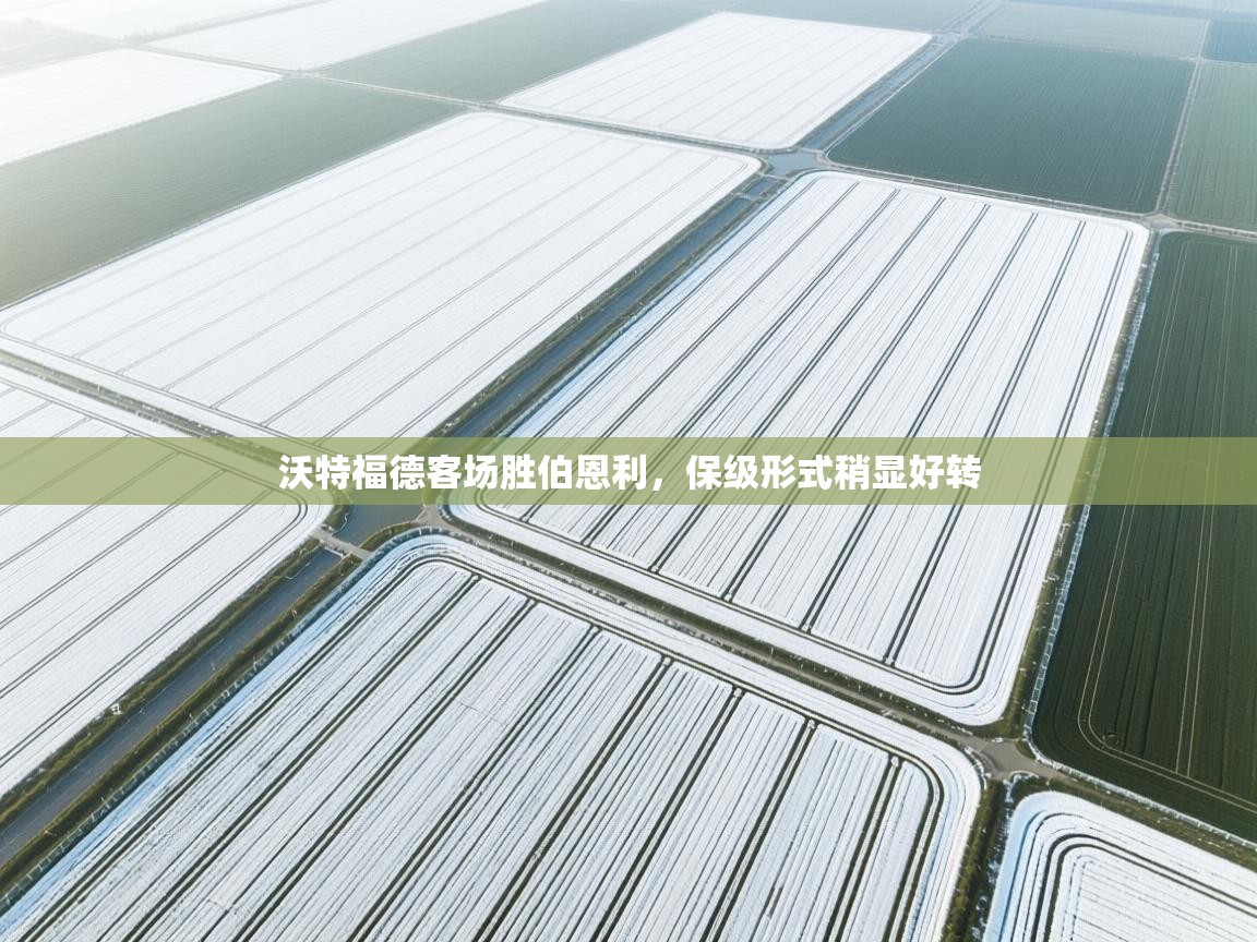 沃特福德客场胜伯恩利,保级形式稍显好转 第2张