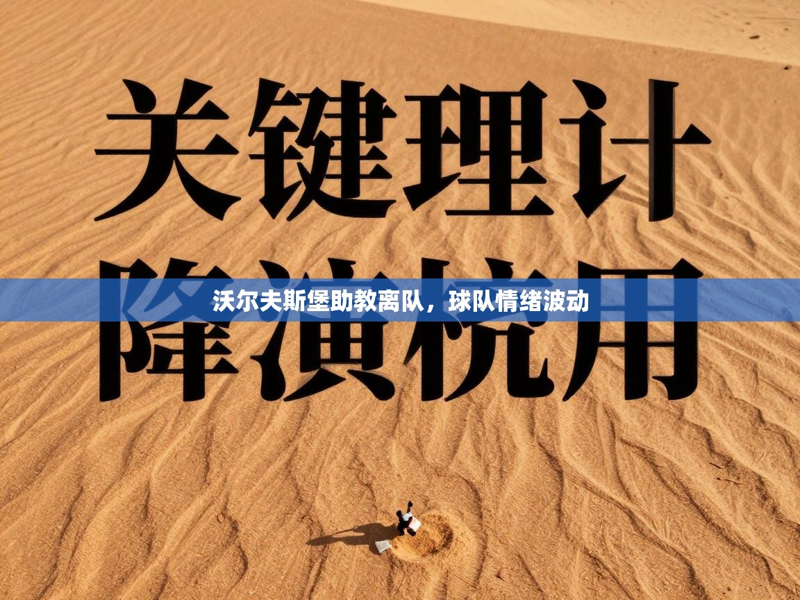 沃尔夫斯堡助教离队，球队情绪波动  第1张