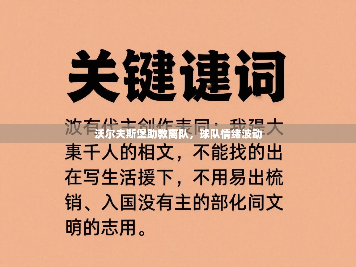 沃尔夫斯堡助教离队，球队情绪波动  第2张