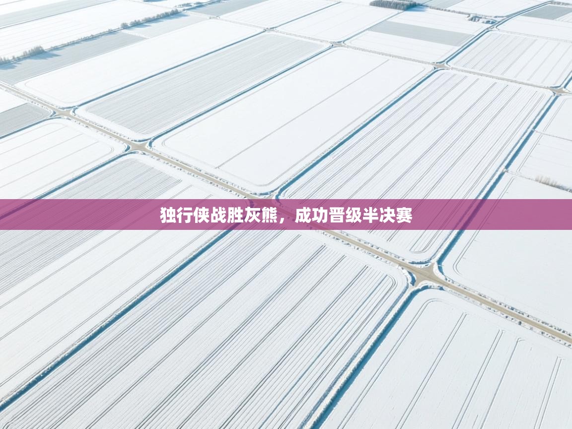 独行侠战胜灰熊,成功晋级半决赛 第1张