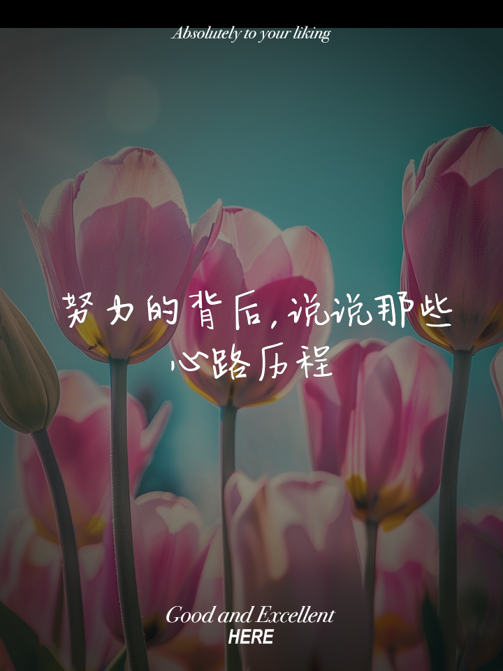 关于创造奇迹的力量，来自于每个队员的不懈努力的信息